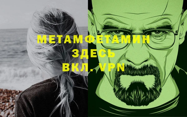 индика Осинники