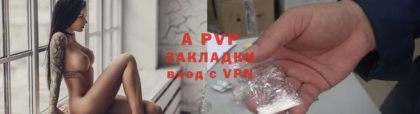 шишки Осташков